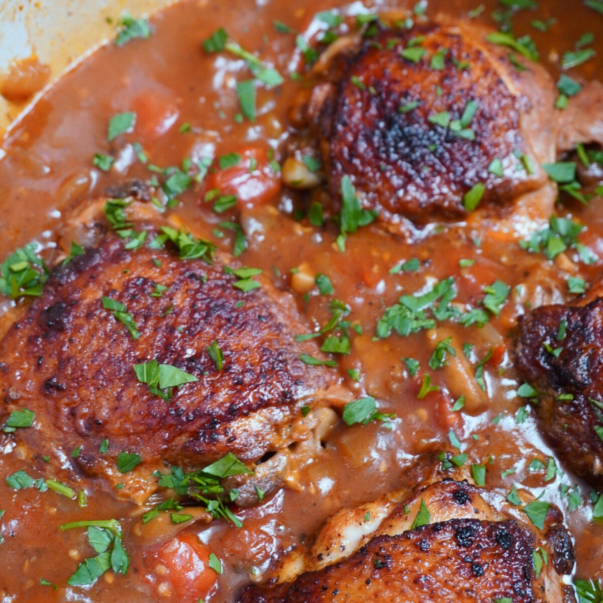 close up of braised chicken in mushroom and tomato sauce.